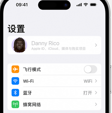 信丰appleID维修服务iPhone设置中Apple ID显示为灰色无法使用 