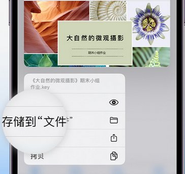 信丰apple维修中心分享iPhone文件应用中存储和找到下载文件