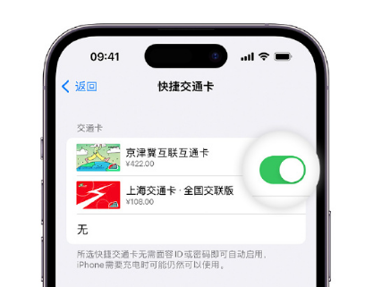 信丰apple维修点分享iPhone上更换Apple Pay快捷交通卡手绘卡面 