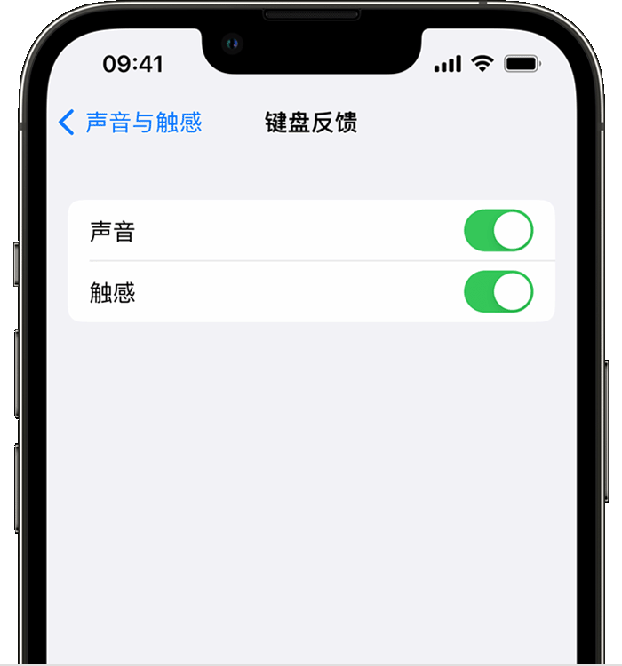 信丰苹果14维修店分享如何在 iPhone 14 机型中使用触感键盘 