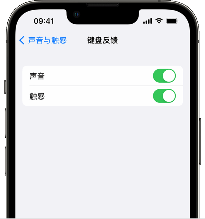 信丰苹果14维修分享iPhone 14 系列机型如何开启键盘声音或触感反馈 