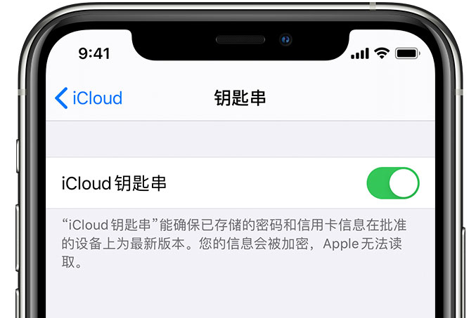 信丰苹果手机维修分享在 iPhone 上开启 iCloud 钥匙串之后会储存哪些信息 