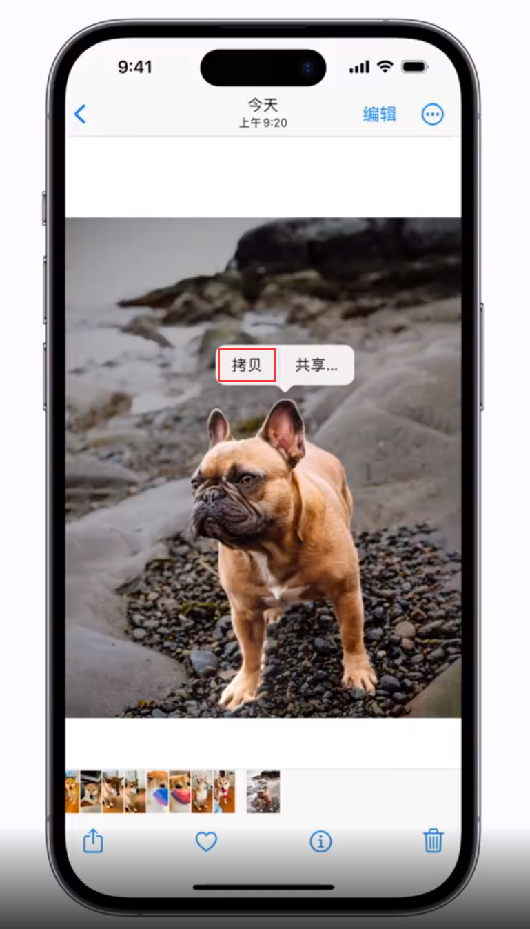 信丰苹果手机维修分享 iOS 16 自带一键抠图功能 