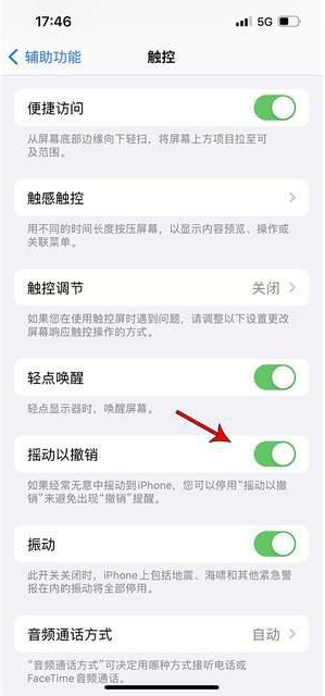 信丰苹果手机维修分享iPhone手机如何设置摇一摇删除文字 