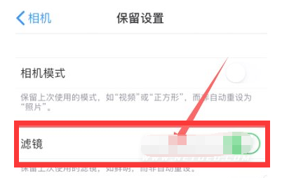 信丰苹果13维修分享iPhone13拍照有绿点是怎么回事 