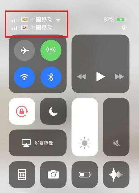 信丰苹果手机维修分享为 iPhone 12 双卡设置标签 