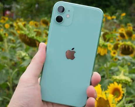 信丰苹果维修点分享iPhone 11锁屏密码认知与使用科普 